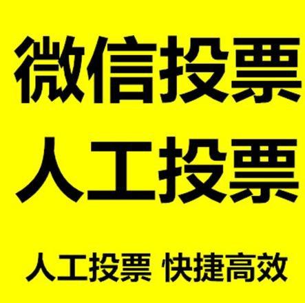 楚雄彝族自治州投票活动拉票能被查出来吗？如何操作能不被发现？